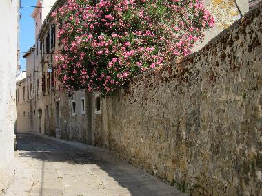 Appartement de vacances �/en/au Koper (Koper)ou appartement ou maison de vacances