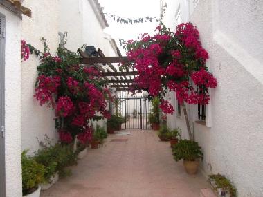 Appartement de vacances /en/au Torrevieja (Murcia)ou appartement ou maison de vacances