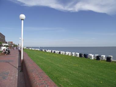 Appartement de vacances /en/au Wittmund (Nordsee-Festland / Ostfriesland)ou appartement ou maison de vacances