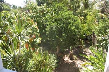 Appartement de vacances �/en/au Canavieiras (Bahia)ou appartement ou maison de vacances