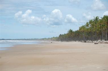 Appartement de vacances �/en/au Canavieiras (Bahia)ou appartement ou maison de vacances