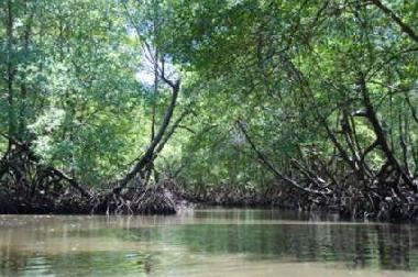 Appartement de vacances �/en/au Canavieiras (Bahia)ou appartement ou maison de vacances