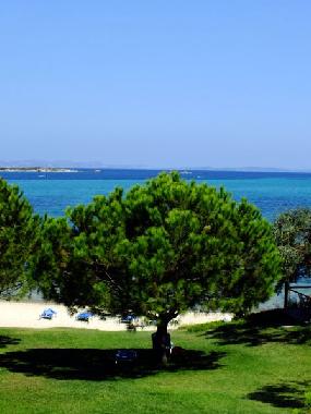 Appartement de vacances /en/au Sithonia (Chalkidiki)ou appartement ou maison de vacances