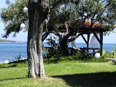 Appartement de vacances /en/au Sithonia (Chalkidiki)ou appartement ou maison de vacances