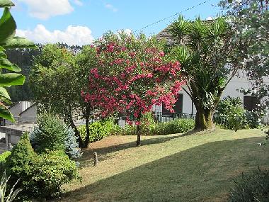 Appartement de vacances /en/au Marmeleira (Do-Lafes)ou appartement ou maison de vacances