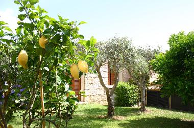 Maison de vacances /en/au Palau (Olbia-Tempio)ou appartement ou maison de vacances