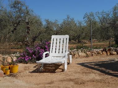 Villa /en/au Amposta (Tarragona)ou appartement ou maison de vacances