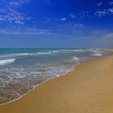 Villa /en/au Amposta (Tarragona)ou appartement ou maison de vacances