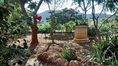 Villa /en/au Amposta (Tarragona)ou appartement ou maison de vacances