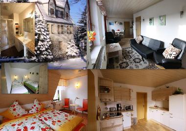 Appartement de vacances /en/au Sehmatal Neudorf (Erzgebirge)ou appartement ou maison de vacances