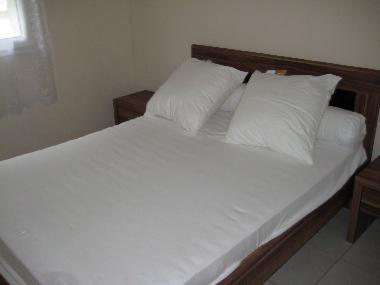 Appartement de vacances /en/au nice (Alpes-Maritimes)ou appartement ou maison de vacances