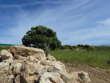 Villa /en/au Azoia (Pennsula de Setbal)ou appartement ou maison de vacances