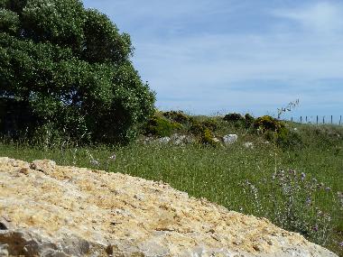 Villa /en/au Azoia (Pennsula de Setbal)ou appartement ou maison de vacances