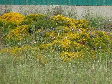 Villa /en/au Azoia (Pennsula de Setbal)ou appartement ou maison de vacances