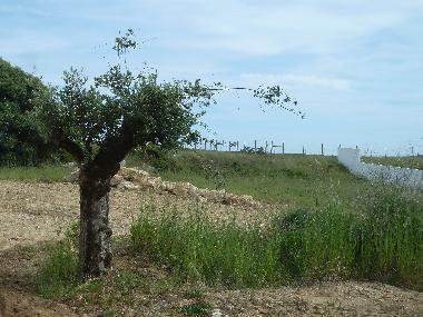 Villa /en/au Azoia (Pennsula de Setbal)ou appartement ou maison de vacances