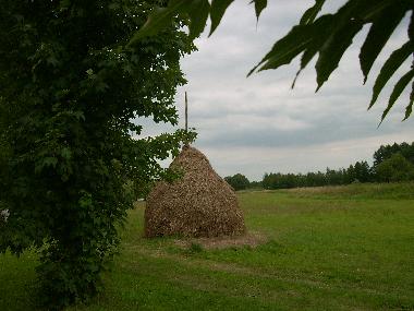 Appartement de vacances �/en/au Luebben (Dahme-Spreewald)ou appartement ou maison de vacances