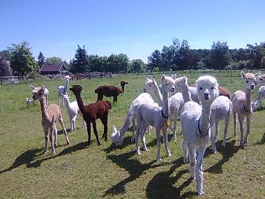 Appartement de vacances �/en/au Luebben (Dahme-Spreewald)ou appartement ou maison de vacances