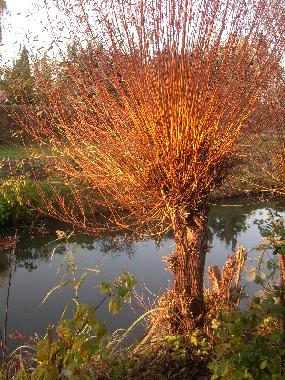 Appartement de vacances �/en/au Luebben (Dahme-Spreewald)ou appartement ou maison de vacances