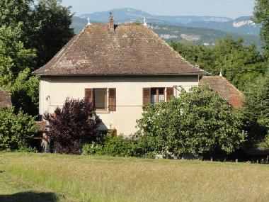 dans un crin de verdure