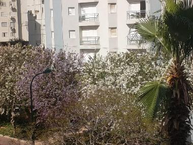 Appartement de vacances �/en/au Netanya (HaMerkaz (Central))ou appartement ou maison de vacances
