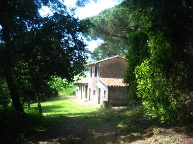 MAISON DES PINS, vue de l