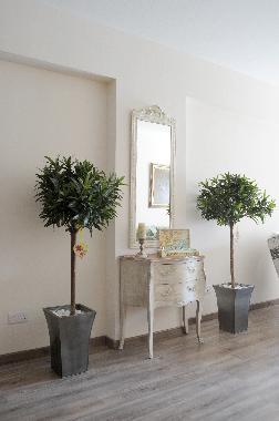 Appartement de vacances /en/au NICOSIA (Nicosia)ou appartement ou maison de vacances