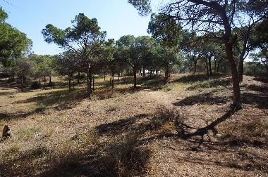 Appartement de vacances /en/au urb. Lomas del Polo (Alicante / Alacant)ou appartement ou maison de vacances