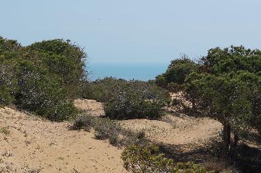 Appartement de vacances /en/au urb. Lomas del Polo (Alicante / Alacant)ou appartement ou maison de vacances