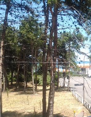 Appartement de vacances �/en/au montesilvano (Pescara)ou appartement ou maison de vacances