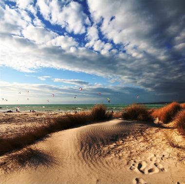 Appartement de vacances �/en/au Castiglioncello (Livorno)ou appartement ou maison de vacances