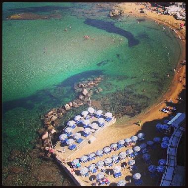 Appartement de vacances �/en/au Castiglioncello (Livorno)ou appartement ou maison de vacances