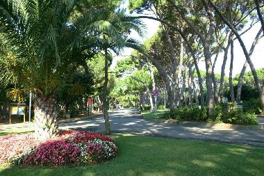 Appartement de vacances �/en/au Castiglioncello (Livorno)ou appartement ou maison de vacances