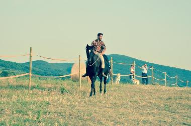 Appartement de vacances �/en/au Castiglioncello (Livorno)ou appartement ou maison de vacances