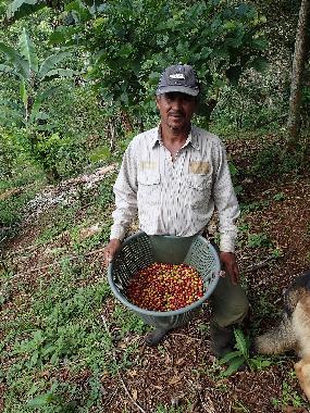 Maison de vacances �/en/au Turrialba (Cartago)ou appartement ou maison de vacances