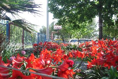 Appartement de vacances �/en/au Starigrad Paklenica (Zadarska)ou appartement ou maison de vacances