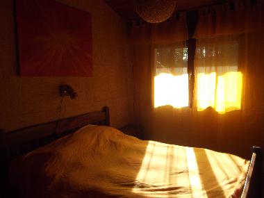 Maison de vacances �/en/au Seignosse (Landes)ou appartement ou maison de vacances