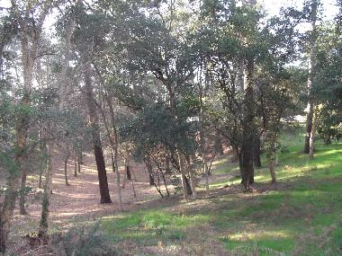 Maison de vacances �/en/au Seignosse (Landes)ou appartement ou maison de vacances