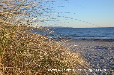 Maison de vacances /en/au Binz (Ostsee-Inseln)ou appartement ou maison de vacances