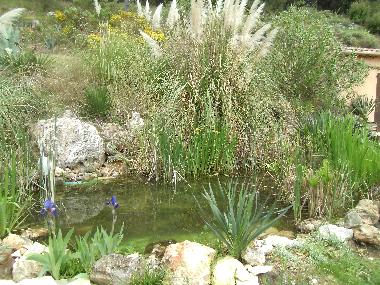 Appartement de vacances �/en/au trans en provence (Var)ou appartement ou maison de vacances