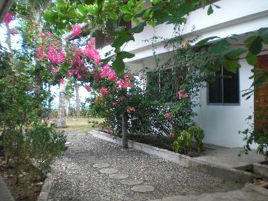 Appartement de vacances �/en/au Panglao Bohol (Bohol)ou appartement ou maison de vacances