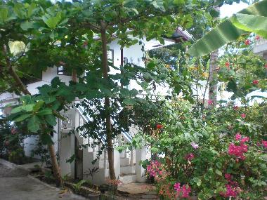 Appartement de vacances �/en/au Panglao Bohol (Bohol)ou appartement ou maison de vacances