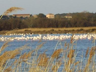 Appartement de vacances /en/au Portiragnes-Plage (Hrault)ou appartement ou maison de vacances