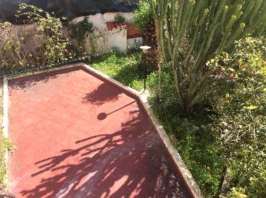 le jardin , votre jardin