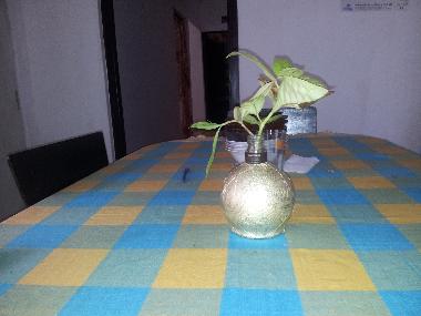 Chambre avec petit d�jeuner �/en/au Hikkaduwa (Galle)ou appartement ou maison de vacances