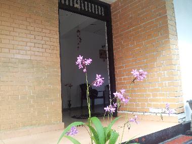 Chambre avec petit d�jeuner �/en/au Hikkaduwa (Galle)ou appartement ou maison de vacances