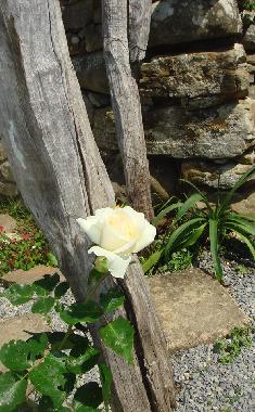 Appartement de vacances /en/au dolceacqua (Imperia)ou appartement ou maison de vacances