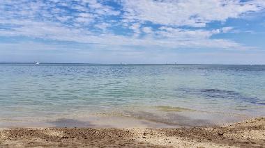 Maison de vacances /en/au Black River (Savanne)ou appartement ou maison de vacances