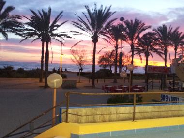 Appartement de vacances /en/au mallorca (Mallorca)ou appartement ou maison de vacances