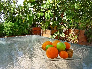 Appartement de vacances �/en/au Bat Yam (Tel Aviv)ou appartement ou maison de vacances