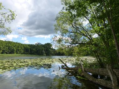 Maison de vacances /en/au Bad Freienwalde (Mrkisch-Oderland)ou appartement ou maison de vacances